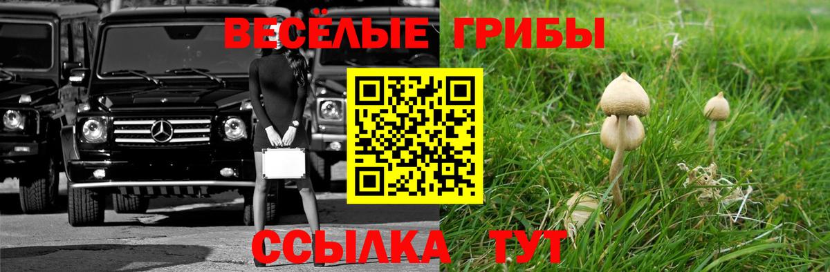 Псилоцибиновые грибы Cubensis  Вход с VPN  Сухой Лог  Галлюциногенные грибы Psilocybine cubensis 